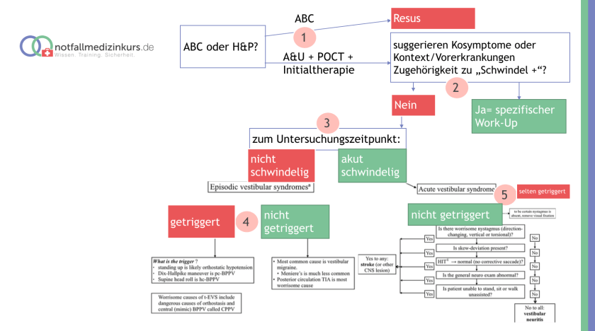 Schwindel Workflow.png